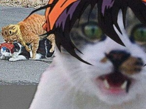 Create meme: funny cute cats, funny cats, cat