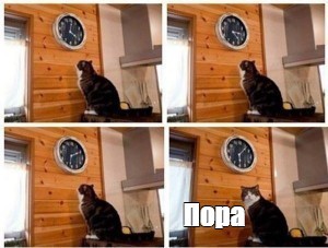 Create meme: the cat and the clock, meme the cat and watches, meme the cat and the clock time