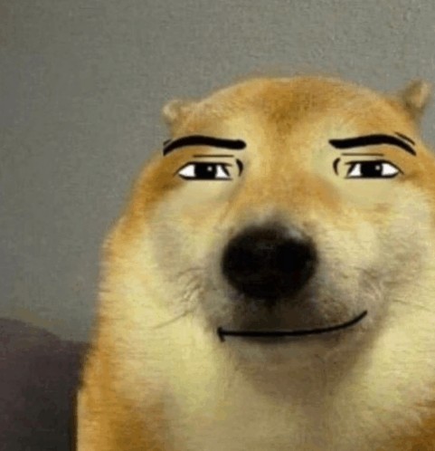 Создать мем: doge рикардо, собака 🐕, doge улыбается