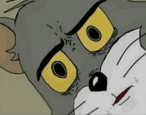 Create meme: uporotyh face from Tom and Jerry, character, polish jerry