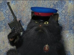 Create meme: cat with a gun, cat, cat skrobala