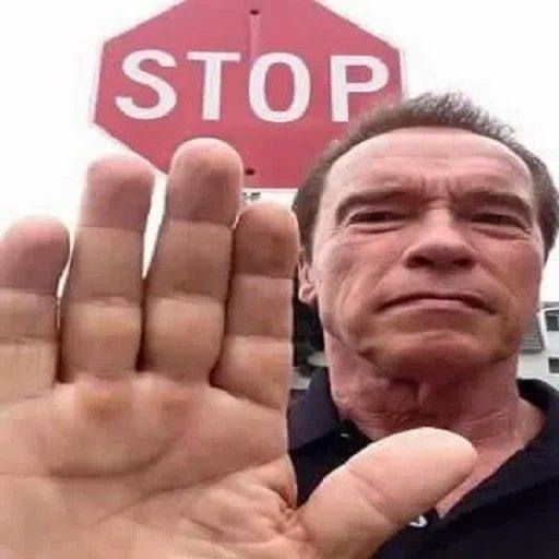 Create meme: Arnold Schwarzenegger stop, arnold schwarzenegger look a like, arnold schwarzenegger meme