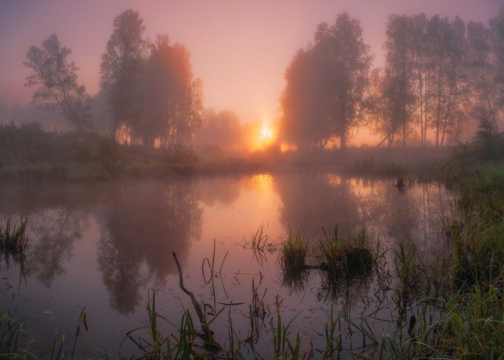 Create meme: landscape fog, foggy landscape, morning on the lake