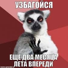 Create meme: segoina, uzbagoysya, sagaseta