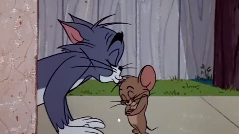 Create meme: Tom and Jerry cat, Tom and Jerry season 2, Jerry Tom and Jerry