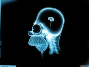 Create meme: small brain, MRI Homer Simpson, a head x-ray Homer Simpson