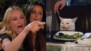 Создать мем: мем орущая баба и кот, мемы с котами, мем с котом и двумя женщинами актриса