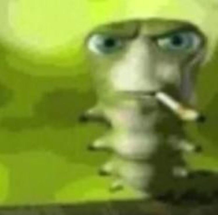 Создать мем: курящая гусеница, caterpillar with a cigarette meme, смешная гусеница