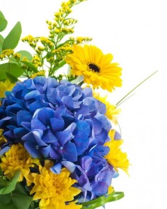Создать мем: цветы, желтые цветы на голубом фоне, гортензия букет