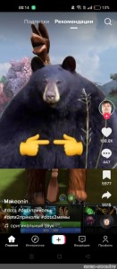 Create meme: bear , bear meme , the bear is shy