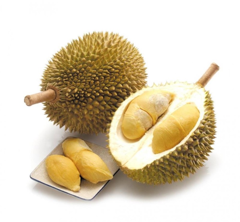 Create meme: durian, durian fruit, exotic durian fruit