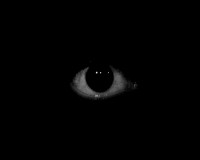 Create meme: darkness, eyes from the dark figure, eyes in the dark