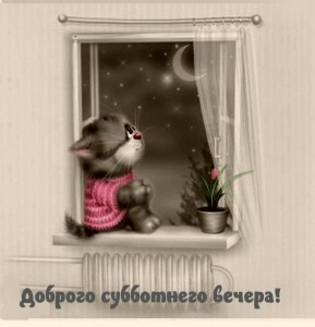Create meme: good evening, good evening, good evening greeting cards