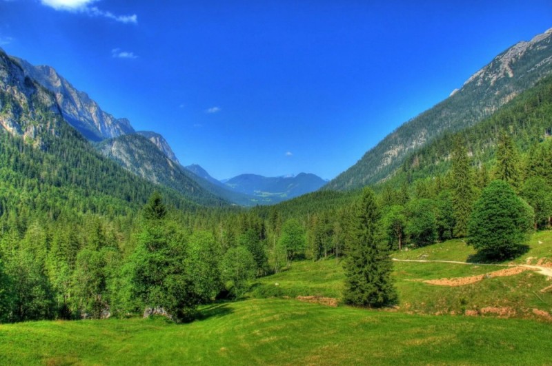 Создать мем: тироль австрия горы, горы лес, природа австрии