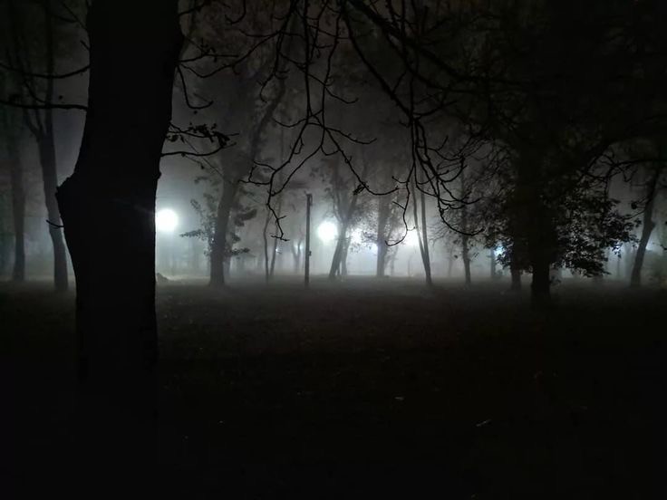 Создать мем: вечерний парк, в тумане, темнота