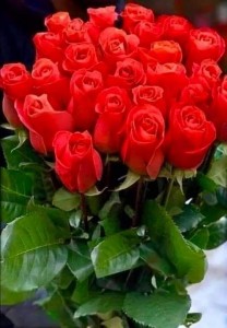 Create meme: a bouquet of red roses, bouquet of roses, a beautiful bouquet of roses