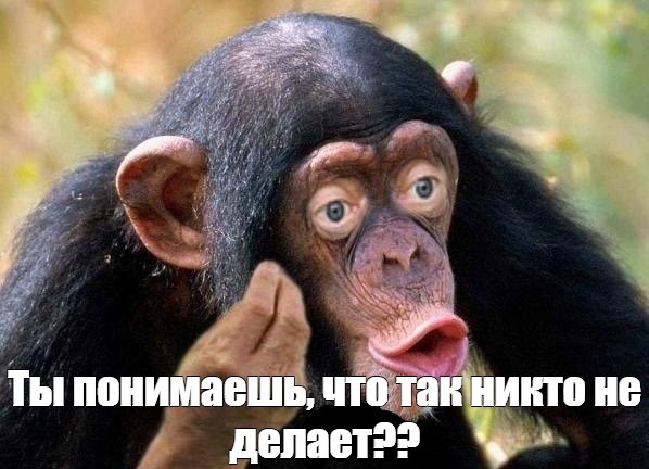 Create meme: chimpanzees are funny, the monkey meme, chimpanzees 