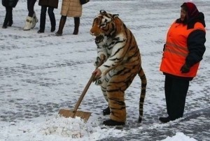 Создать мем: тигр костюм, уборка улиц, день жестянщика