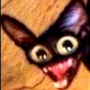 Create meme: rabid cats, Capsici meme with a cat