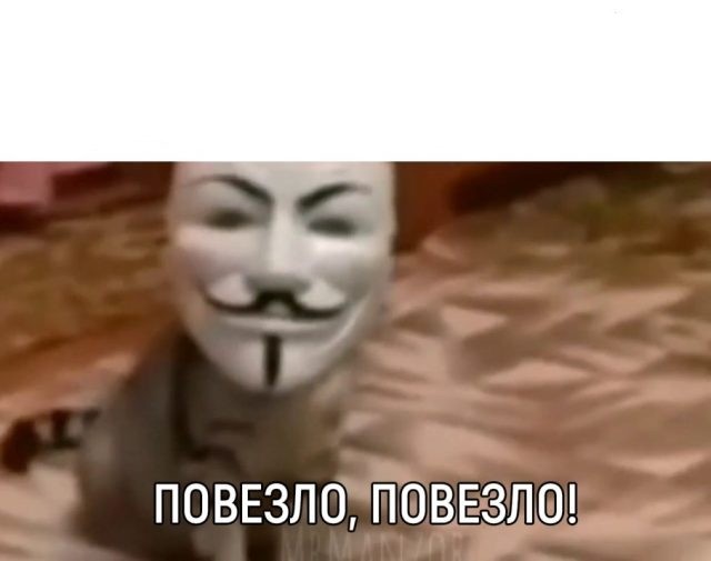 Создать мем: кот в маске анонимуса повезло повезло, анонимус мем, повезло повезло анонимус