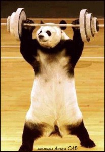 Создать мем: panda, мускулистая панда, Panda Bear