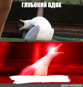 Create meme: screaming Seagull meme template, screaming Seagull meme, meme goose deep breath