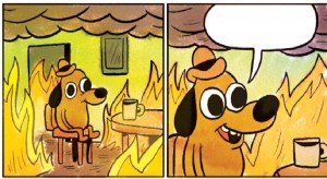 Create meme: meme dog in a burning house