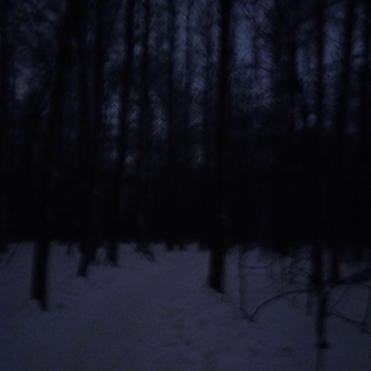 Create meme: scary winter forest, snow forest, dark forest