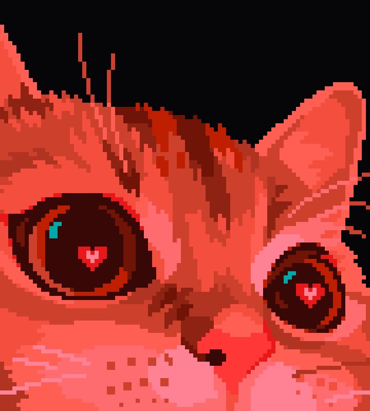 Создать мем: пикчи с котятами, котик с сердечками в глазах, милые коты