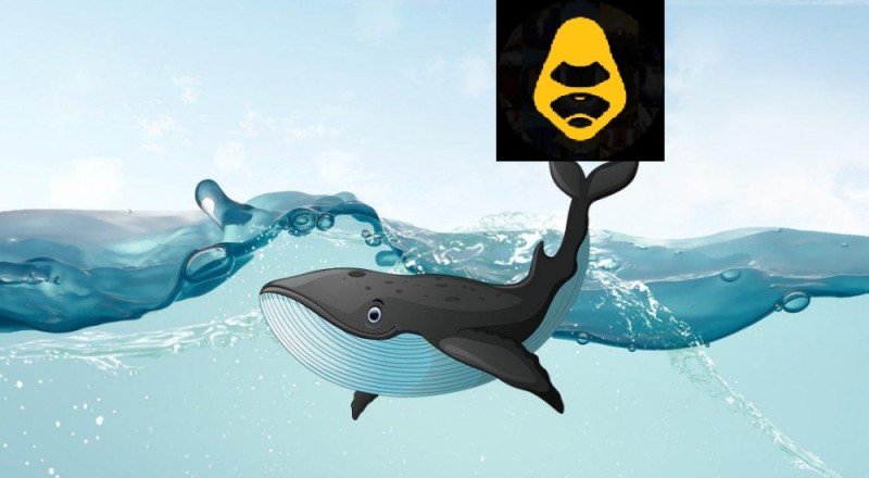 Создать мем: трейдинг, биткоин кит, whale
