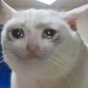 Создать мем: плачущий котик, плачущие коты мем, грустный котик мем