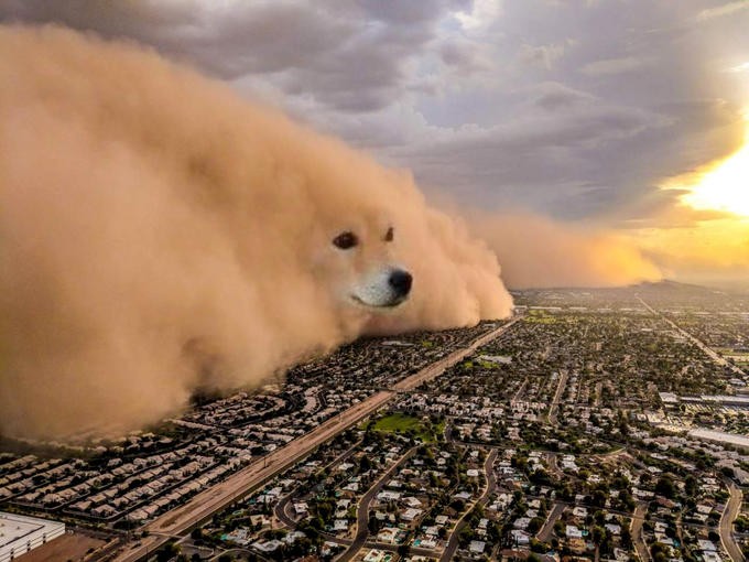 Создать мем: аномальные катаклизмы, стихийные бедствия, собака облако мем