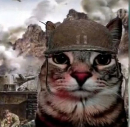 Создать мем: кот русский, крутой кот, котики