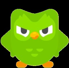 Create meme: game, owl of duolingo, owl duolingo