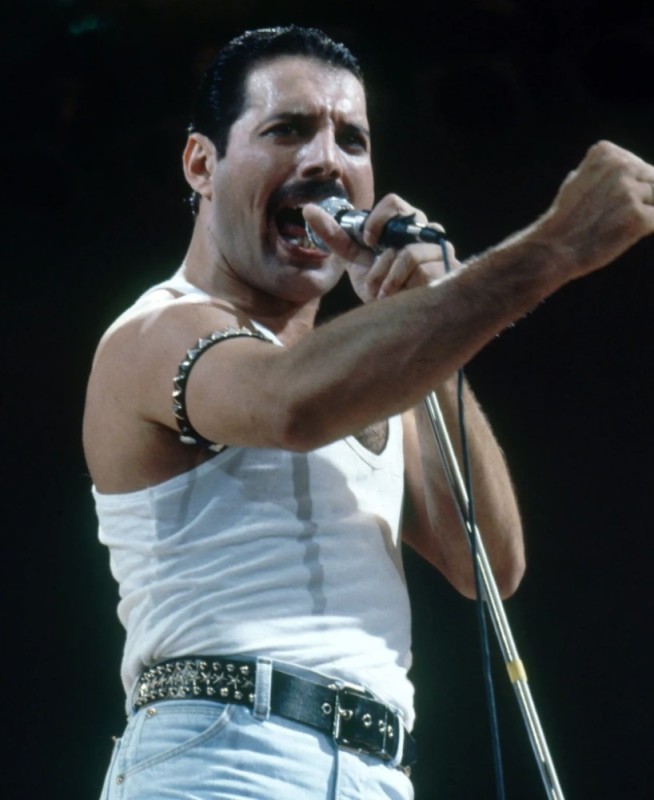 Create meme: Freddie mercury , bohemian rhapsody, vibe