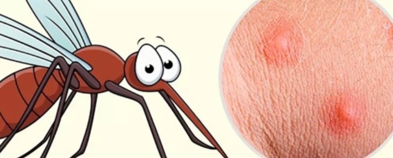 Create meme: a mosquito bite, bites of mosquitoes mosquitoes and midges, West Nile fever virus