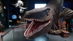 Create meme: the exhibition living dinosaurs Dnepr, exhibition of dinosaurs in Vladivostok, the tooth of a Megalodon, the aquarium of Vladivostok