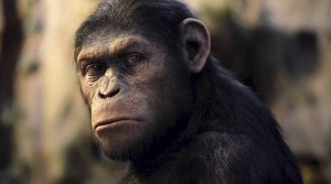 Create meme: rise of the planet of the apes Caesar, planet of the apes 2011, planet of the apes