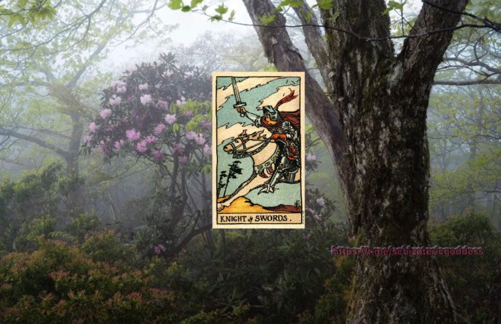 Create meme: nature , Tarot, North Korea nature