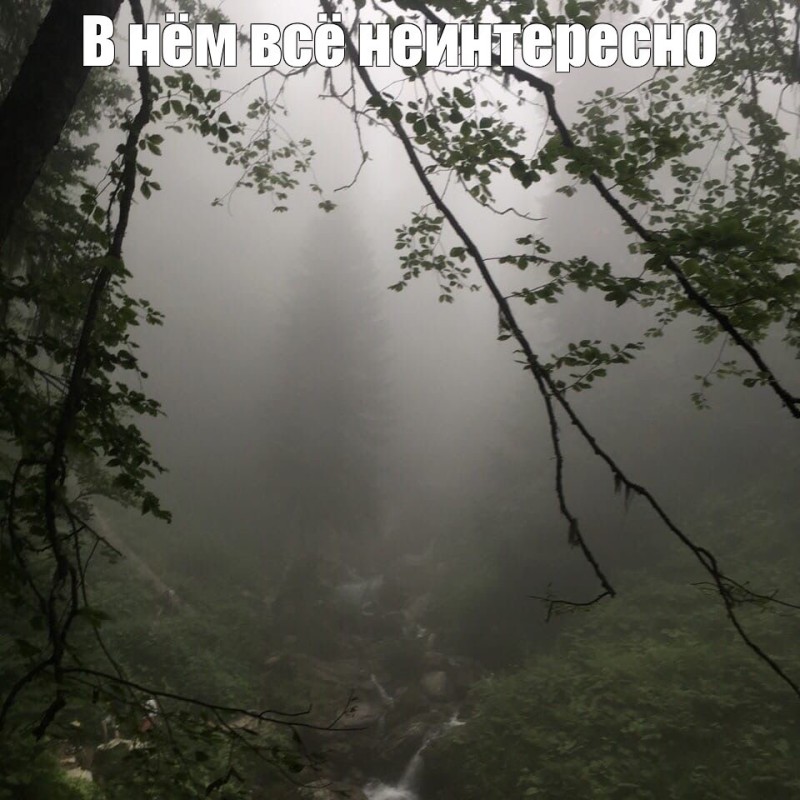 Create meme: forest fog, nature fog, nature aesthetics 2023