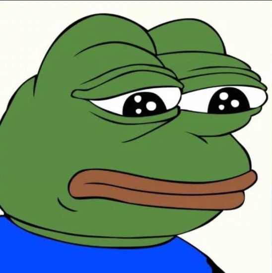 Create meme: Pepe the frog, sad Pepe, Pepe the sad frog