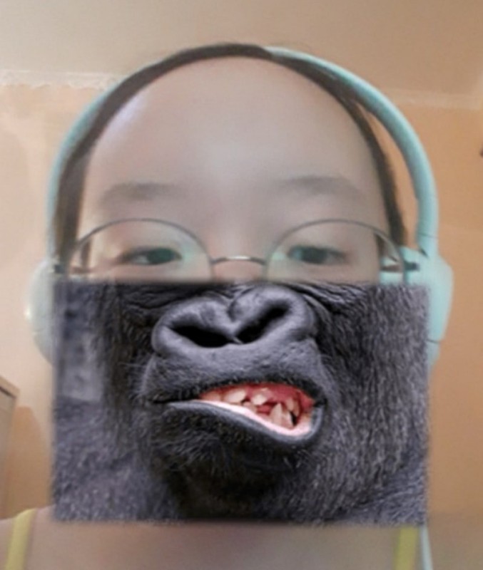 Create meme: angry gorilla, monkey call, monkey 