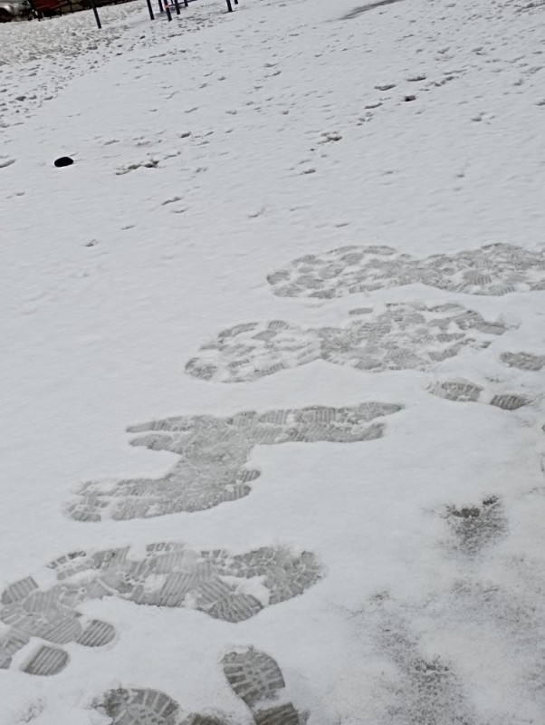 Create meme: traces of a squirrel, squirrel tracks in the snow, snow 