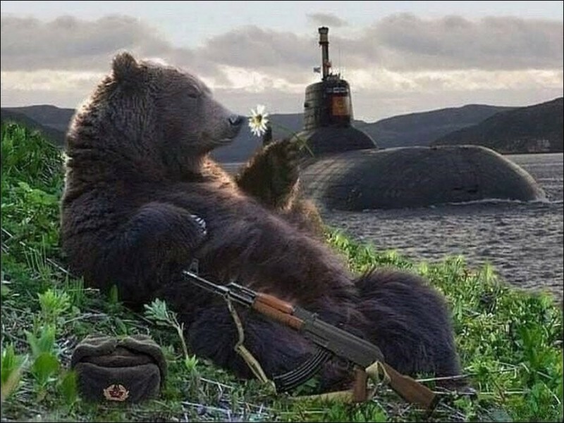 Создать мем: медведь мед, медведь прикольный, медведь русский