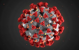 Create meme: coronavirus, virus, virus covid 19