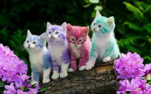 Create meme: kitties, colorful kittens