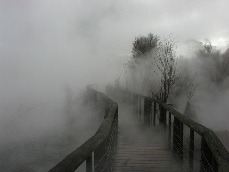 Create meme: morning fog , Into the fog, grey fog