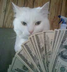 Создать мем: богатый кот, животные милые, кот с деньгами