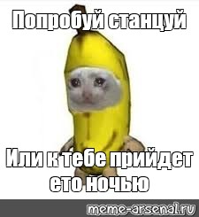Плачущий банан мем. Кот банан Мем. Котик в костюме банана. Котенок в костюме банана Мем. Кот банан в костюме банана.