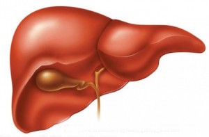 Create meme: restoration of the liver, cirrhosis of the liver, the liver treatment